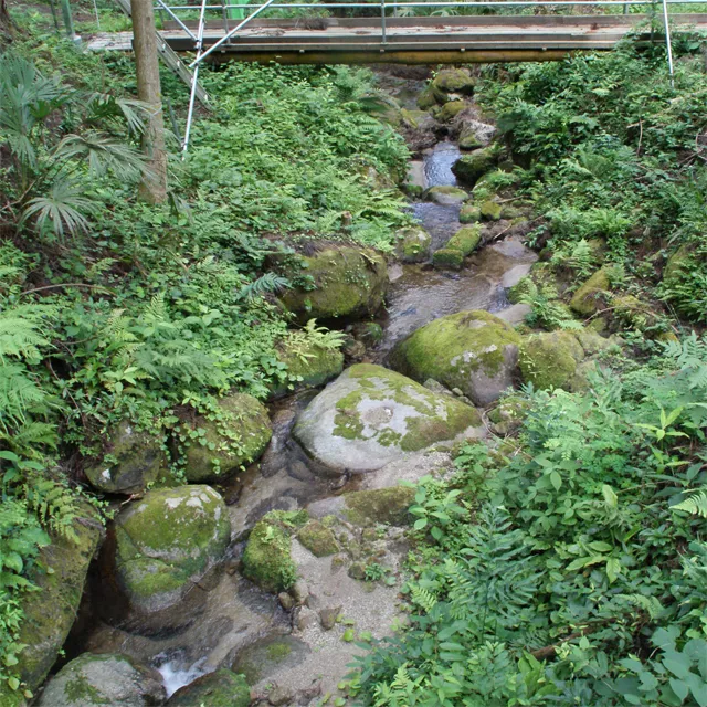 フィールド脇を小川が流れています