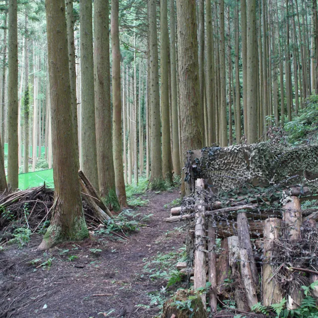 自然地形とバリケードで変化に富んだゲーム展開