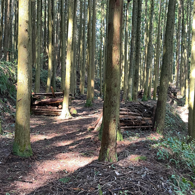 変化に富んだ地形を活かして楽しめます